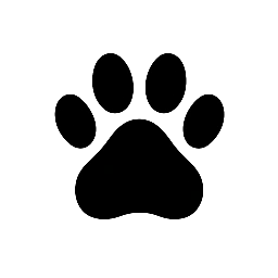 犬と、デザインと。