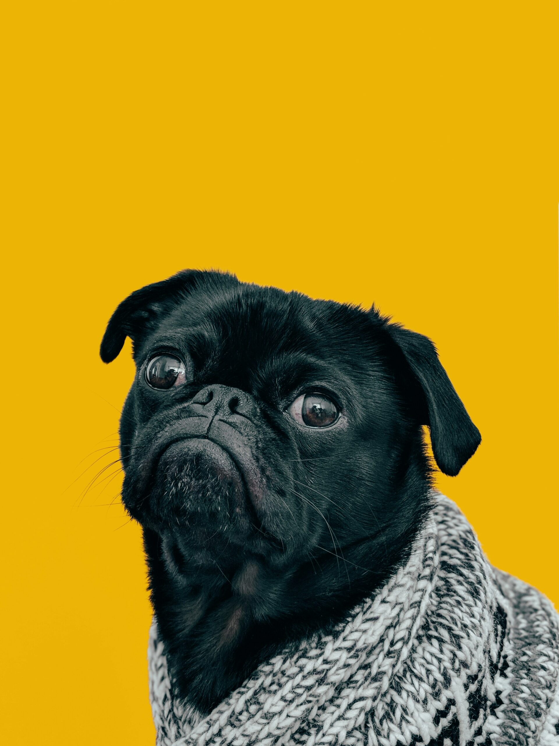 Hello world!